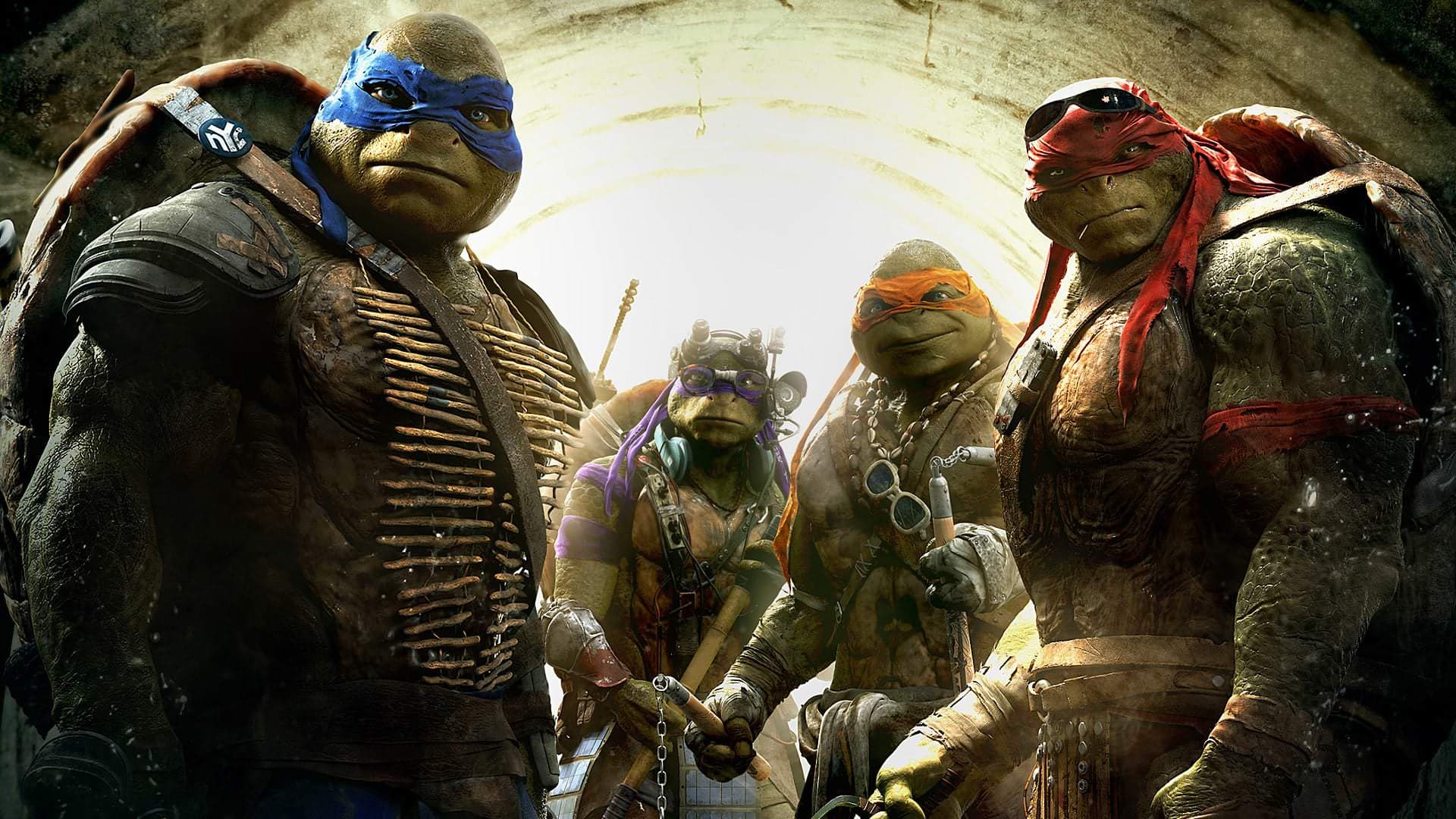 Teenage Mutant Ninja Turtles backdrop