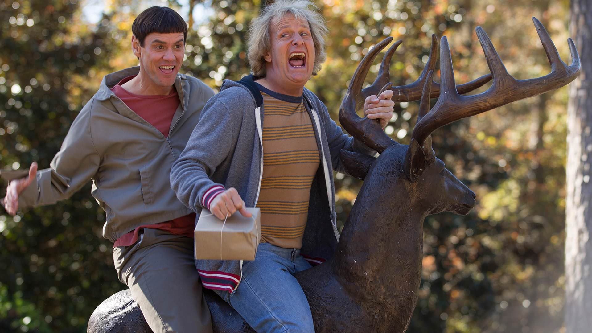Dumb and Dumber To backdrop