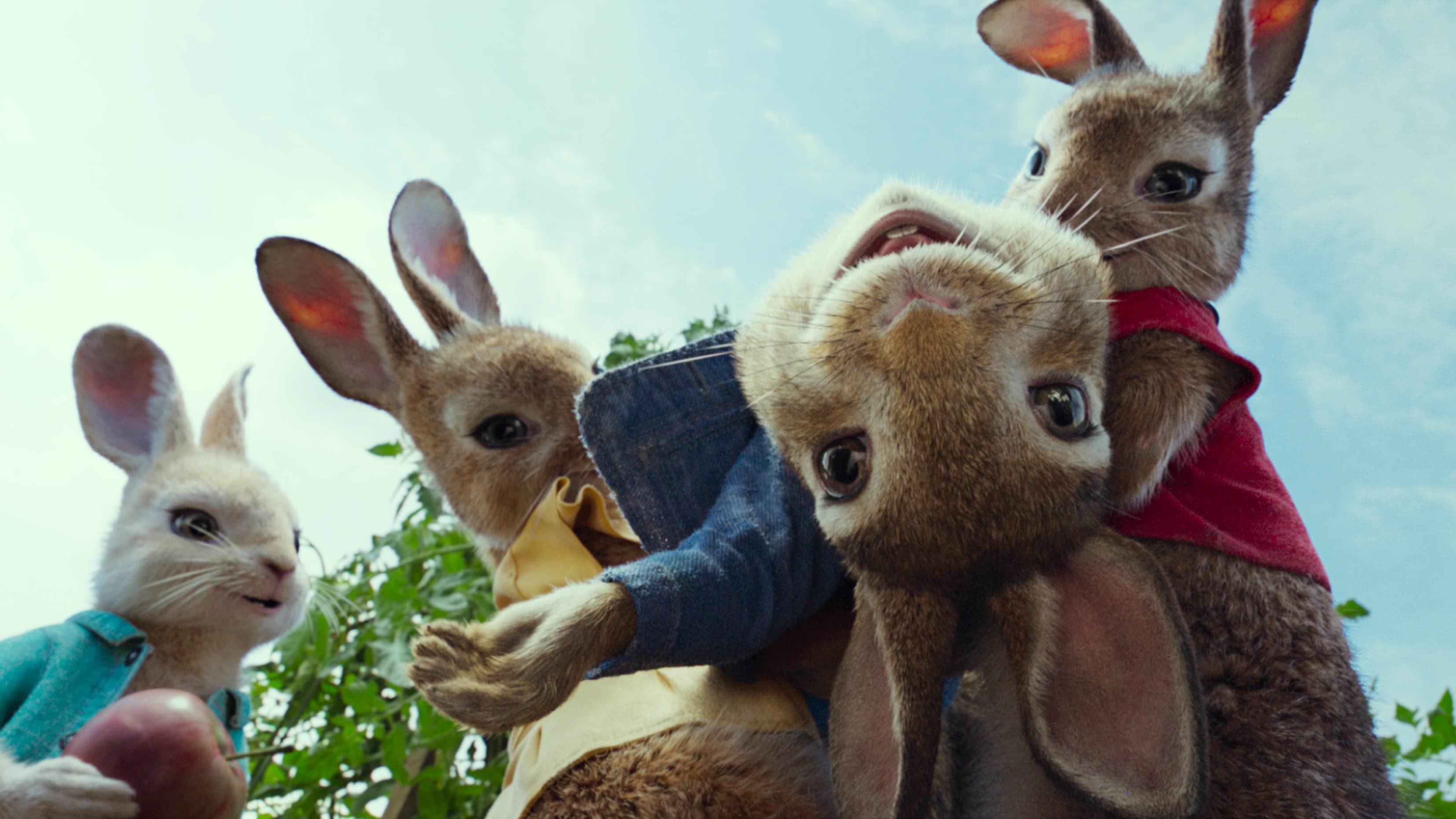 Peter Rabbit backdrop