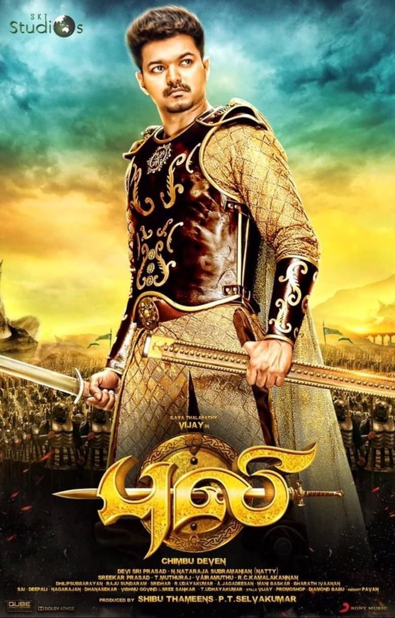 Puli