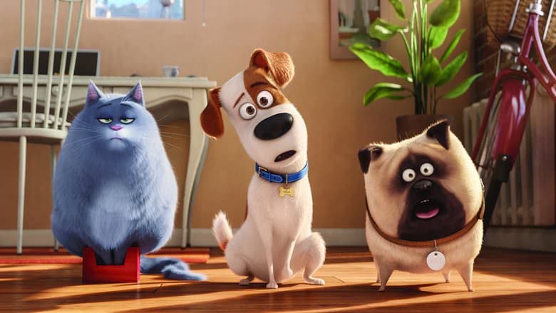 The Secret Life of Pets backdrop