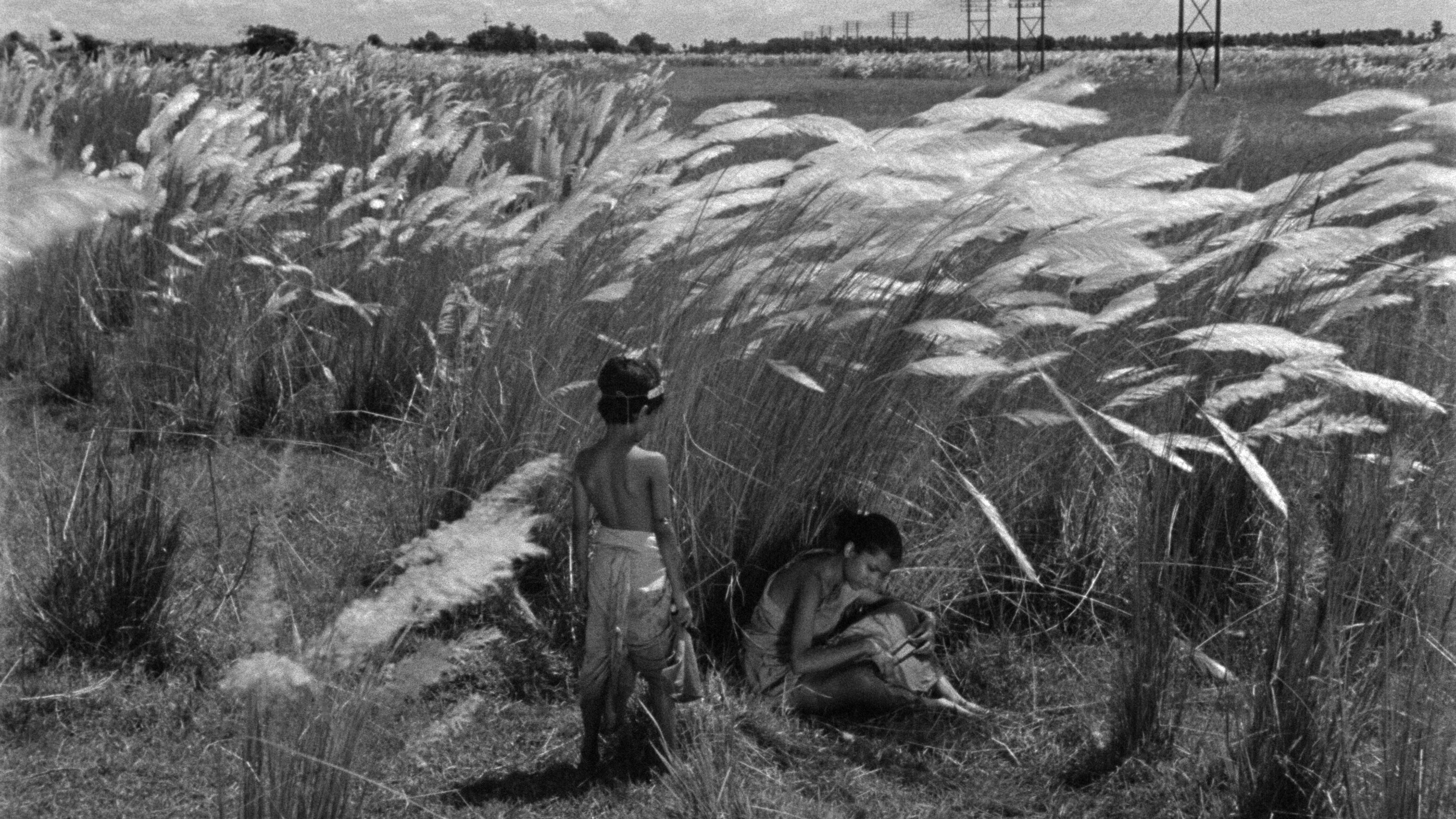 Pather Panchali backdrop