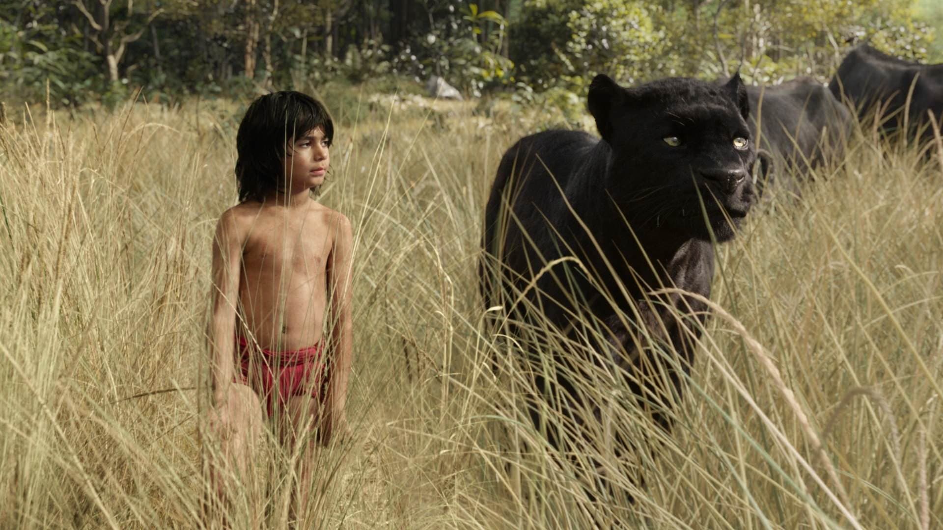 The Jungle Book backdrop