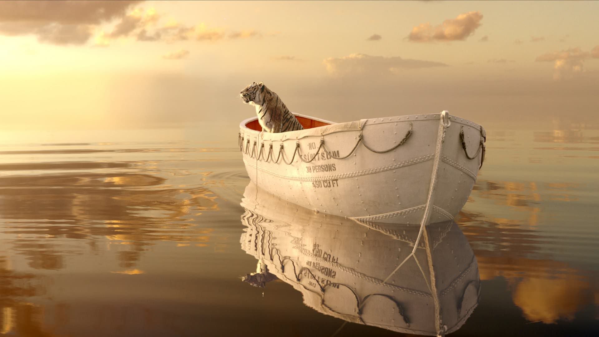 Life of Pi backdrop
