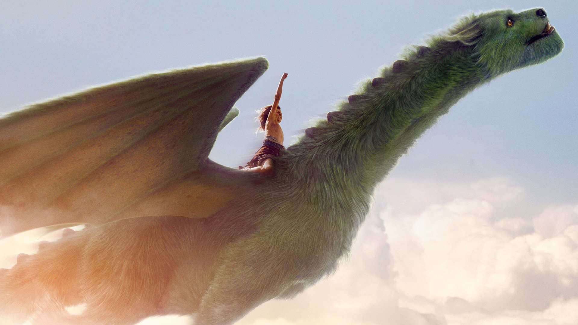 Pete's Dragon backdrop