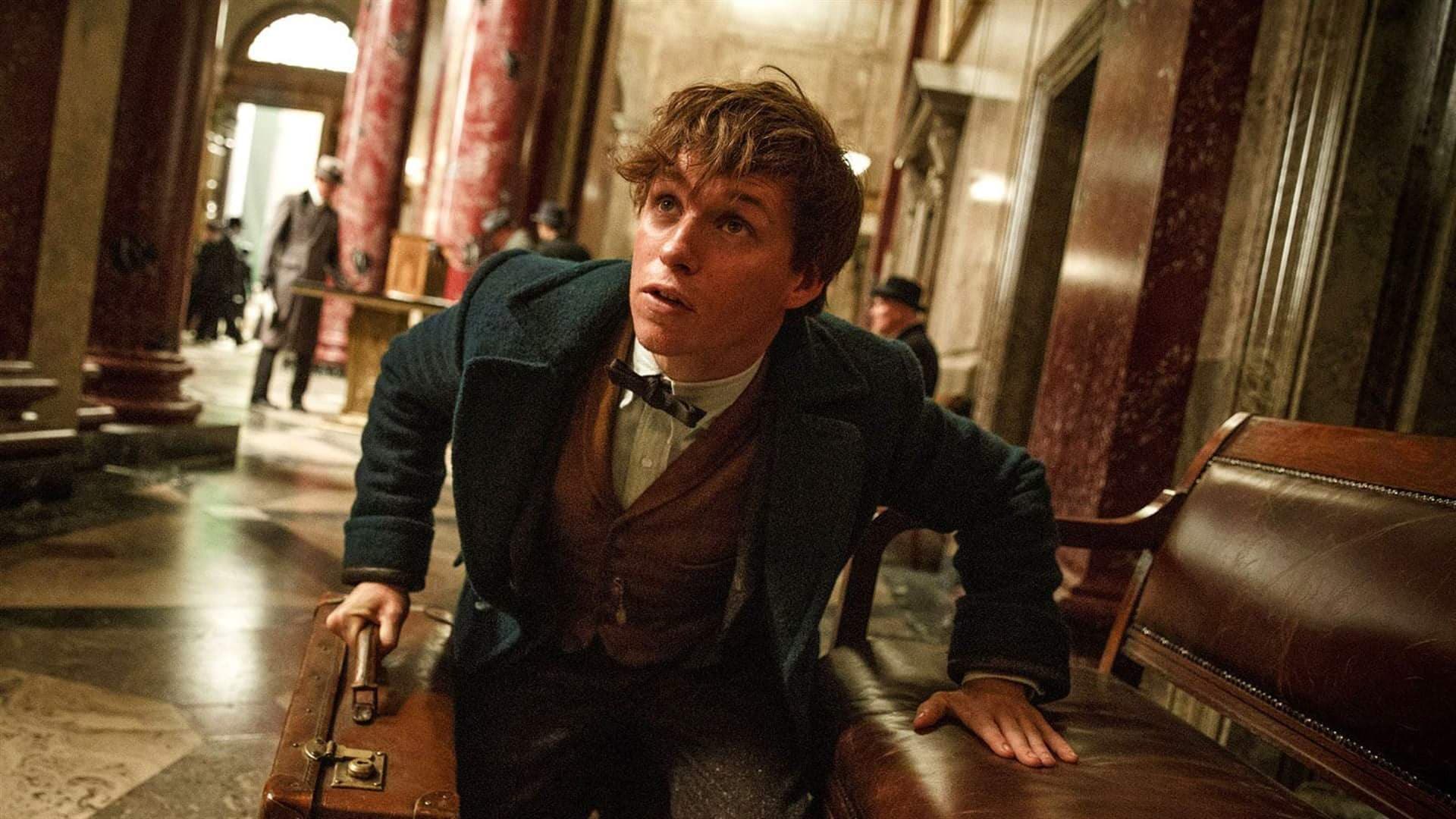 Fantastic Beasts and Where to Find Them backdrop