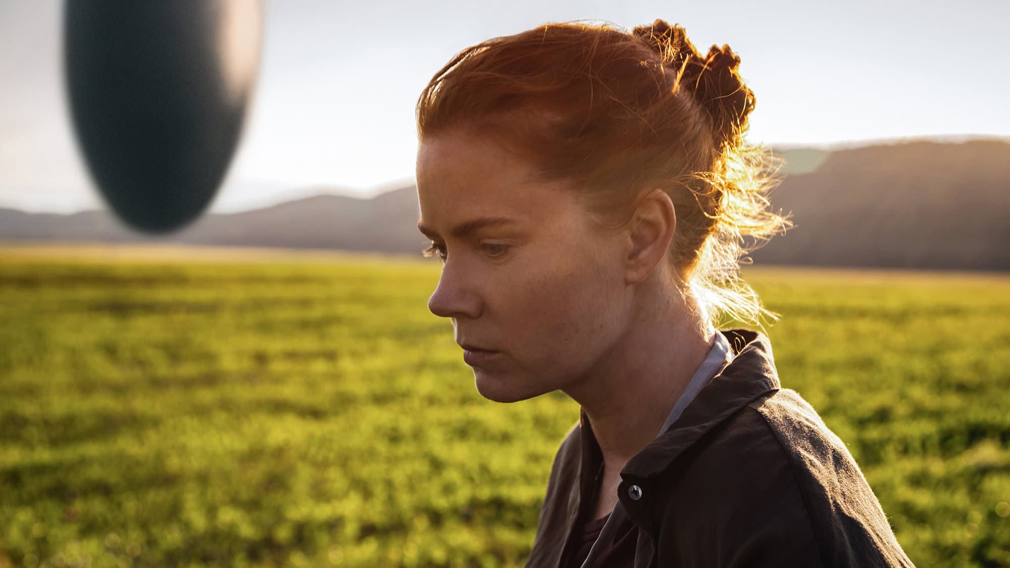 Arrival backdrop