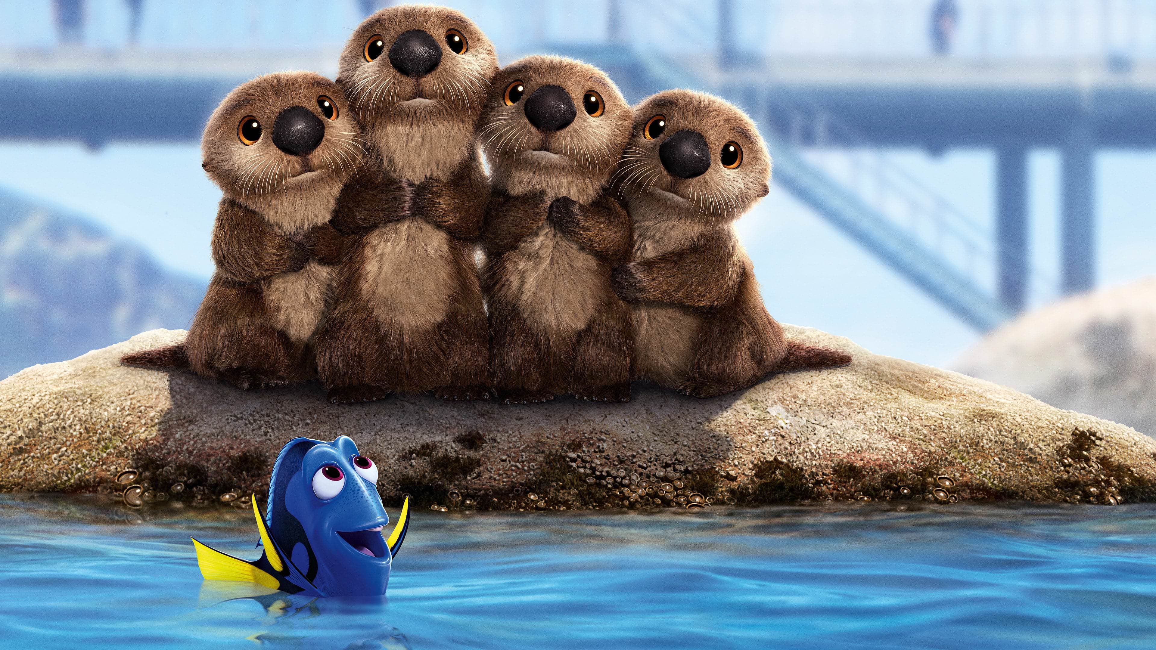 Finding Dory backdrop