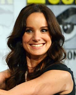 Sarah Wayne Callies