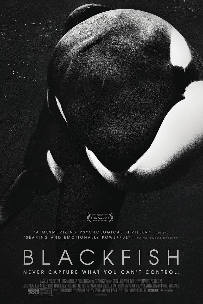 Blackfish