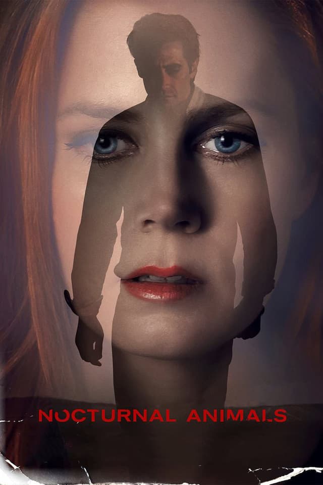 Nocturnal Animals poster