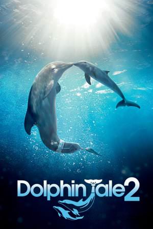 Dolphin Tale 2 Poster