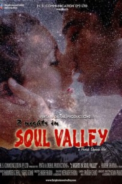 2 Nights in Soul Valley Poster
