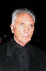 Terence Stamp Poster